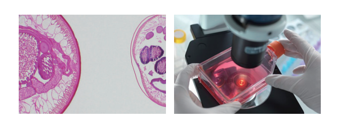 1555036209578907.png TIM截圖20190412102932.png